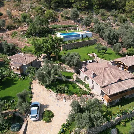 Noble فاراليا