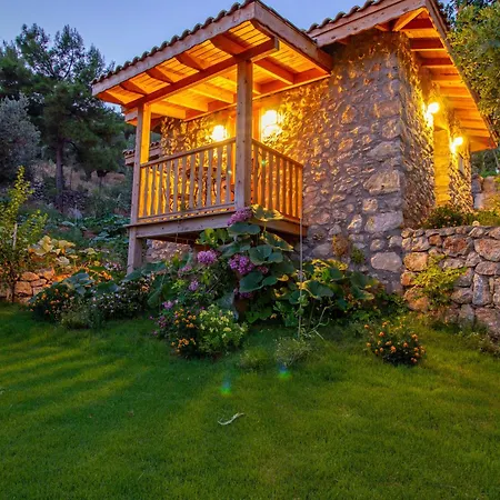 Noble Villa